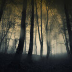 Are you lost in a dark foggy forest, or can you have visualization of success?