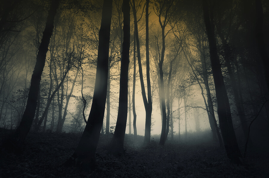 Are you lost in a dark foggy forest, or can you have visualization of success?